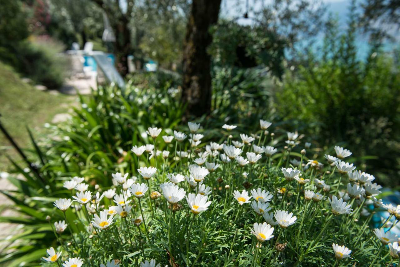 Villa Μαλτσεζίνε Εξωτερικό φωτογραφία